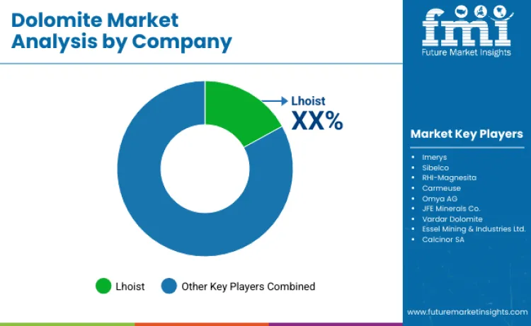 Dolomite Market By Company
