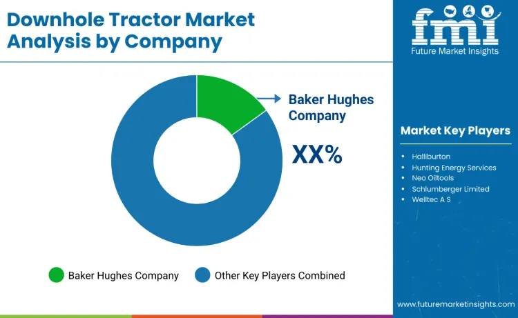 Downhole Tractors Market By Company