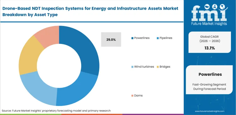 Drone Based Ndt Inspection Systems For Energy And Infrastructure Assets Market Analysis By Asset Type
