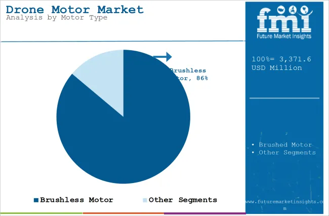 Drone Motor Market Analysis By Motor Type