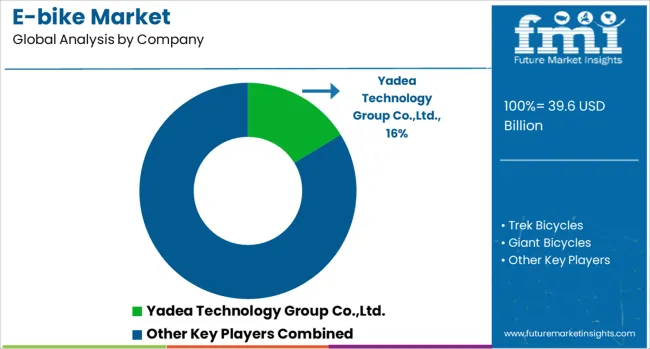 E Bike Market Analysis By Company