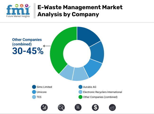 E Waste Management Market Analysis By Company