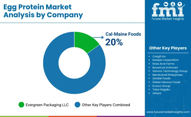 Egg Protein Market Analysis By Company