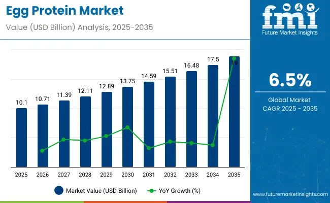 Egg Protein Market