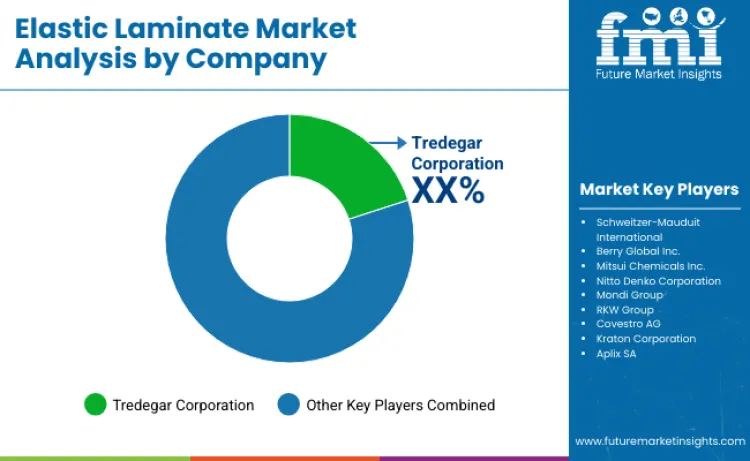 Elastic Laminates Market By Company