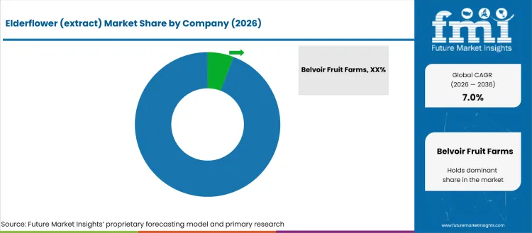 Elderflower (extract) Market Analysis By Company