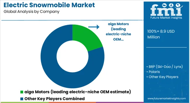 Electric Snowmobile Market Analysis By Company