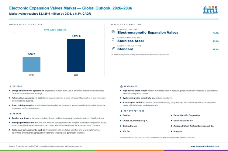 Electronic Expansion Valves Market Infographic