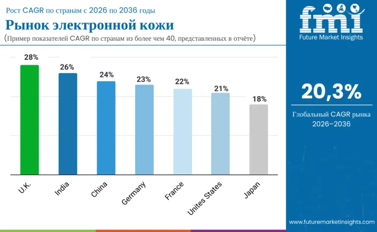 Electronic Skin Market By Country Ru