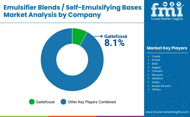 Emulsifier Blends Self Emulsifying Bases Market By Company