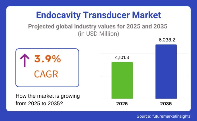 Endocavity Transducer Market