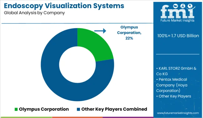 Endoscopy Visualization Systems Market Analysis By Company