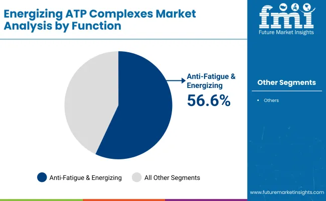 Energizing Atp Complexes Market By Function