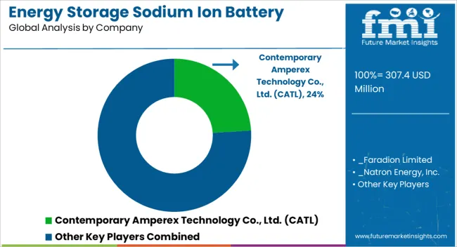 Energy Storage Sodium Ion Battery Market Analysis By Company