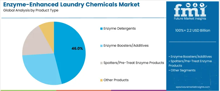 Enzyme Enhanced Laundry Chemicals Market Analysis By Product Type