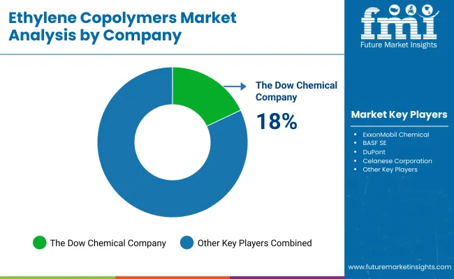 Ethylene Copolymers Market By Company