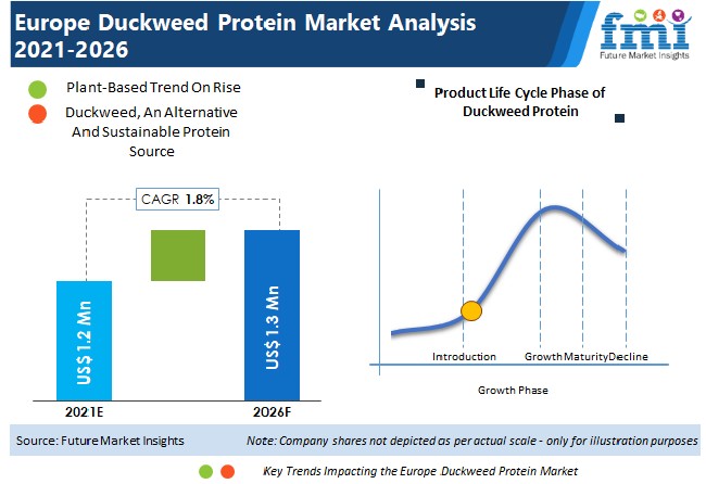 Europe Duckweed Protein Market