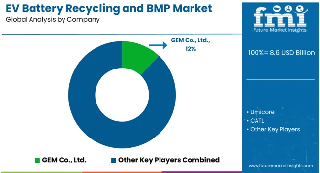 Ev Battery Recycling And Bmp Market Analysis By Company