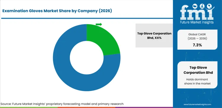 Examination Gloves Market Analysis By Company