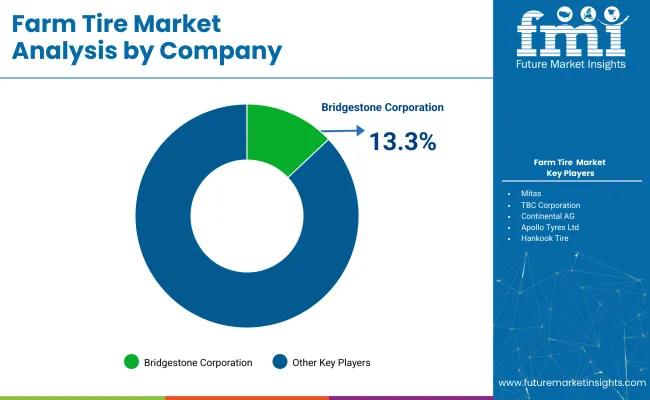 Farm Tire Market Analysis By Company