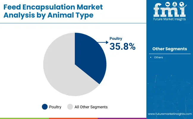 Feed Encapsulation Market Analysis By Animal Type