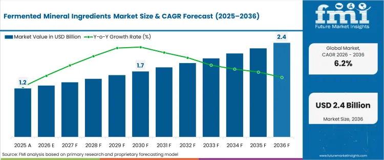 Fermented Mineral Ingredients Market Market Value Analysis