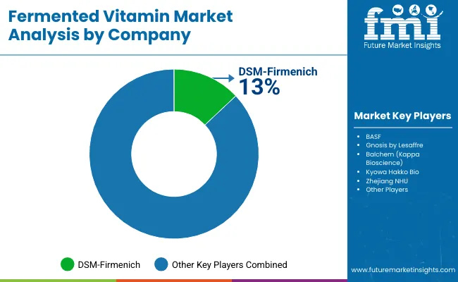 Fermented Vitamins Market By Company