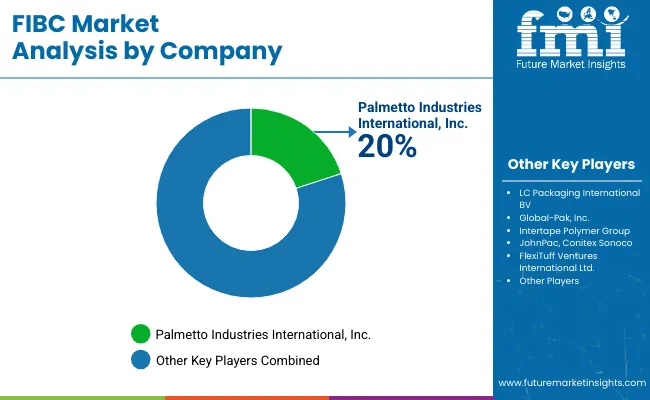 Fibc Market Analysis By Company