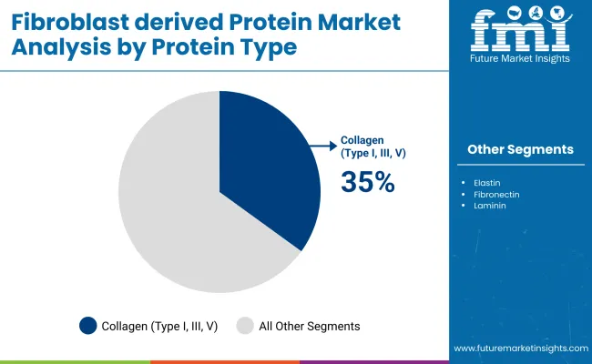 Fibroblast Derived Protein Market By Protein