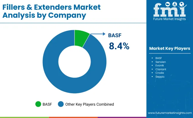 Fillers And Extenders Market By Company