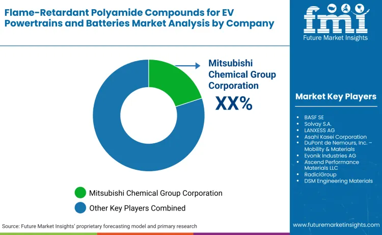 Flame Retardant Polyamide Compounds For Ev Powertrains And Batteries Market By Company Flame Retardant Polyamide Compounds For Ev Powertrains And Batteries Market By Company