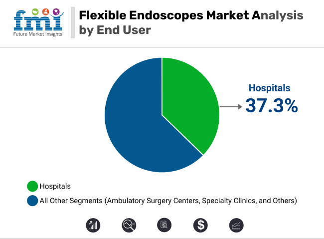 Flexible Endoscopes Market By End Use