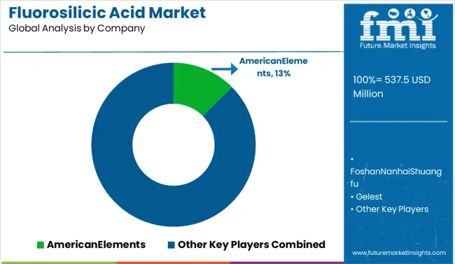 Fluorosilicic Acid Market Analysis By Company