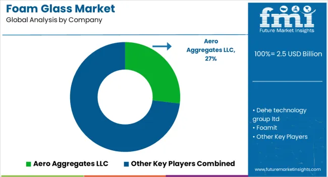 Foam Glass Market Analysis By Company