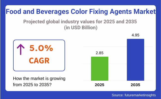 Food And Beverages Color Fixing Agents Market Projected Global Industry Values For 2025 2035
