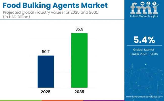 Food Bulking Agents