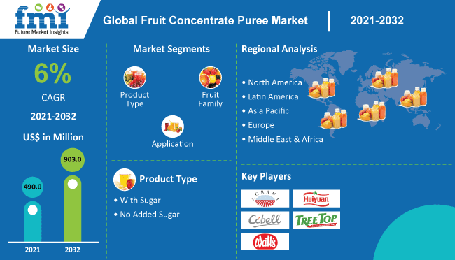 Fruit Concentrate Puree Market