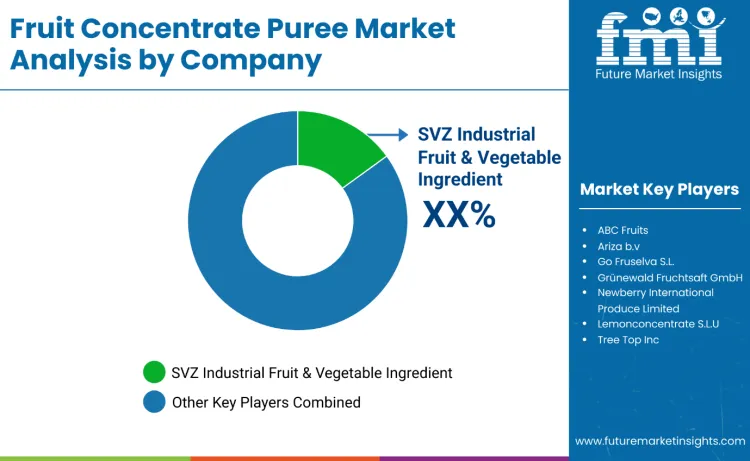 Fruit Concentrates Puree Market By Company