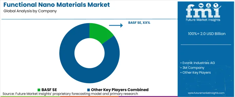 Functional Nano Materials Market Analysis By Company