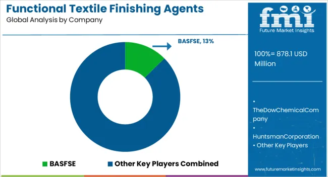 Functional Textile Finishing Agents Market Analysis By Company