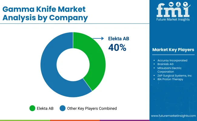 Gamma Knife Market By Company