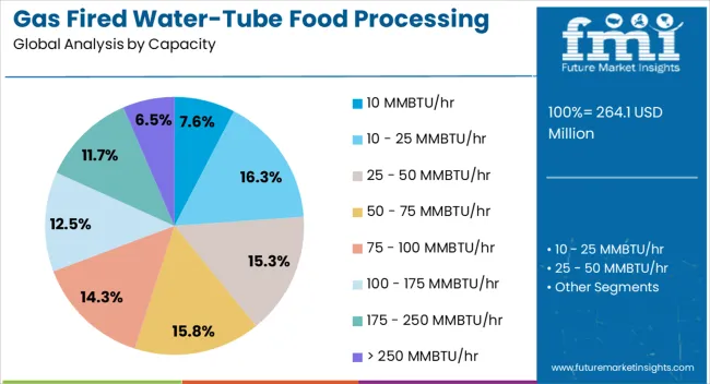 Gas Fired Water Tube Food Processing Boiler Market Analysis By Capacity