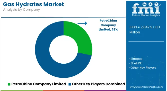 Gas Hydrates Market Analysis By Company