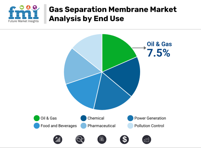 Gas Separation Membranes Market Analysis By End Use
