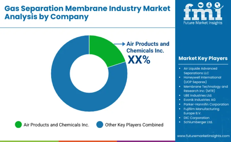 Gas Separation Membranes Market By Company