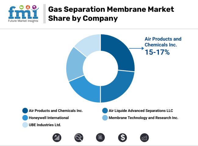 Gas Separation Membranes Market Share By Company