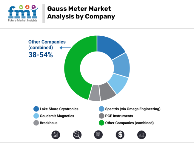 Gauss Meter Market Analysis By Company
