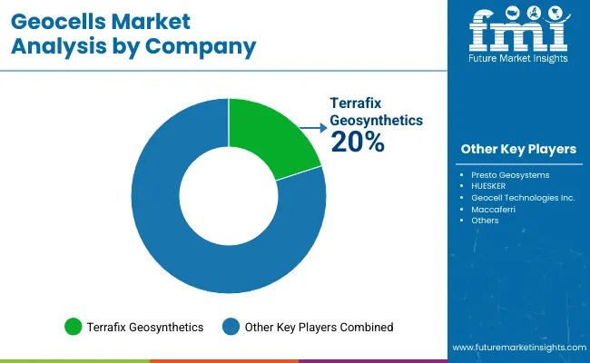 Geocells Market Analysis By Company