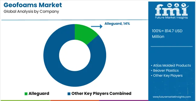 Geofoams Market Analysis By Company