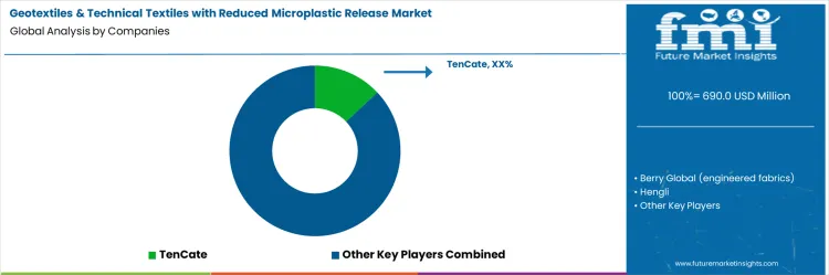 Geotextiles And Technical Textiles With Reduced Microplastic Release Market Analysis By Company